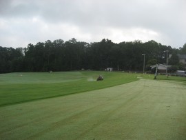 Grass Tee Area